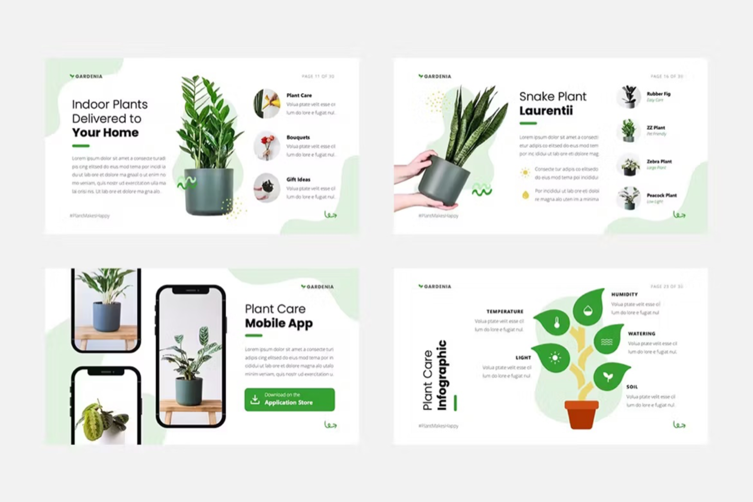 1003 森系绿植花卉主题演讲Keynote模板 Gardenia – Garden & Plant Keynote Template