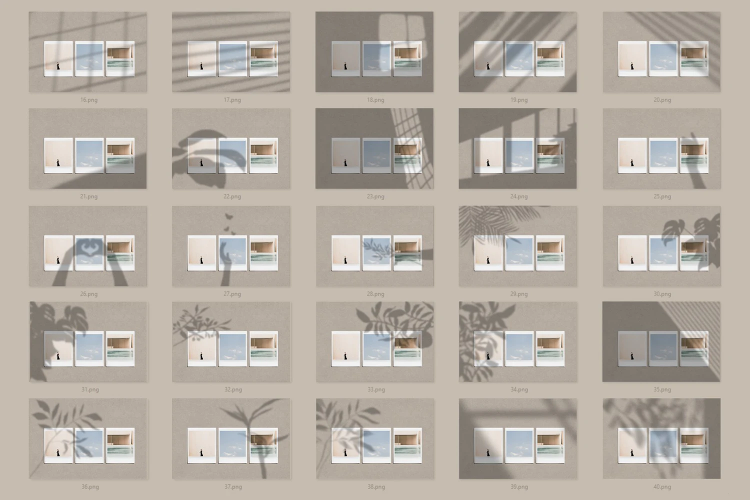 2072 40款自然阴影叠加层PNG透明底背景图片设计素材 40 Natural Shadow Play Overlay Kit