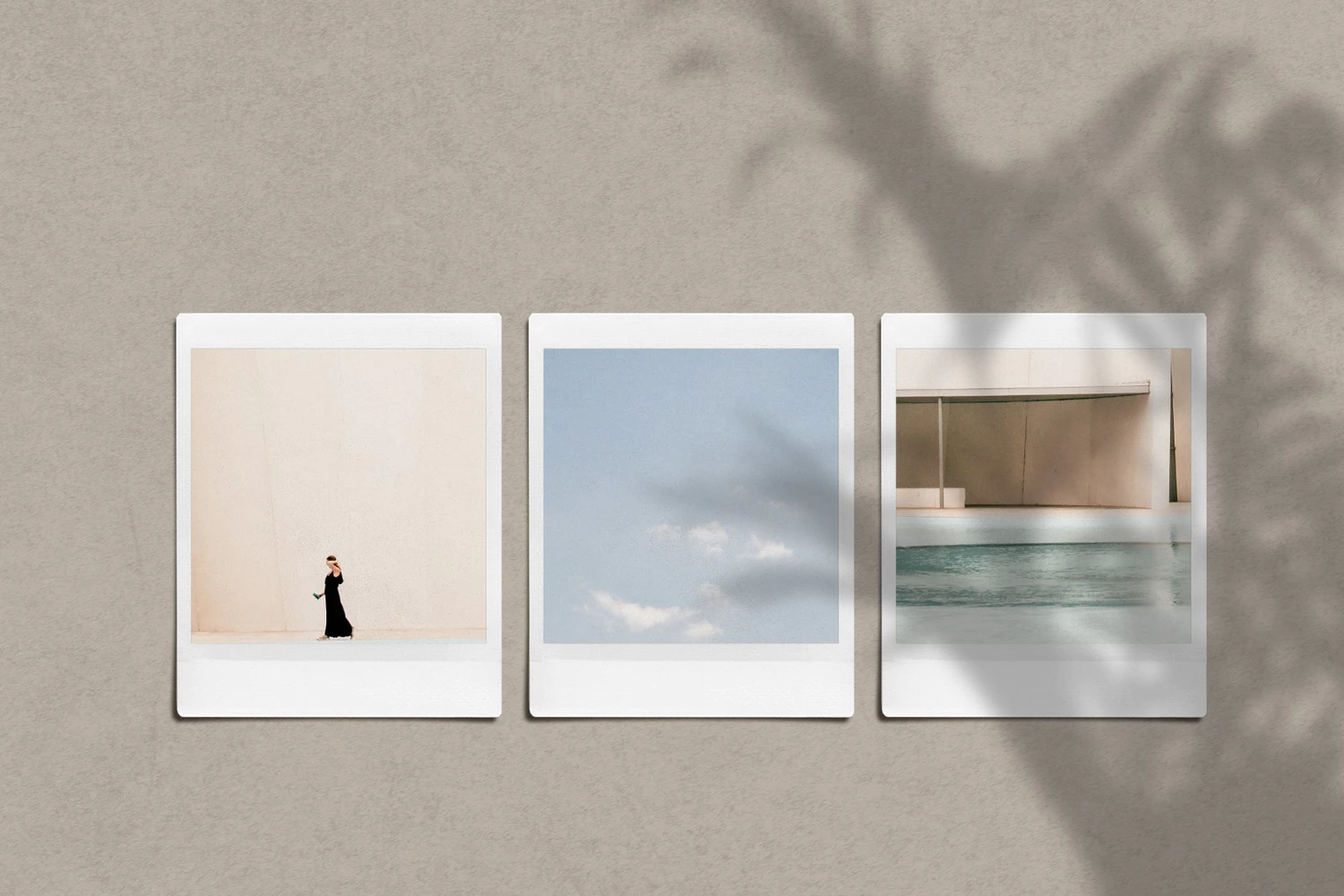 2072 40款自然阴影叠加层PNG透明底背景图片设计素材 40 Natural Shadow Play Overlay Kit