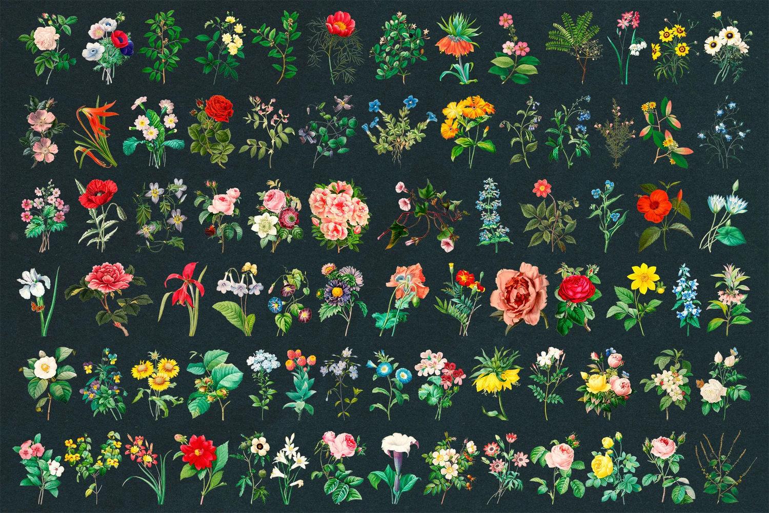 2105 唯美插画复古花朵PNG剪贴画素材包Aesthetic Vintage Flower PNG Clipart