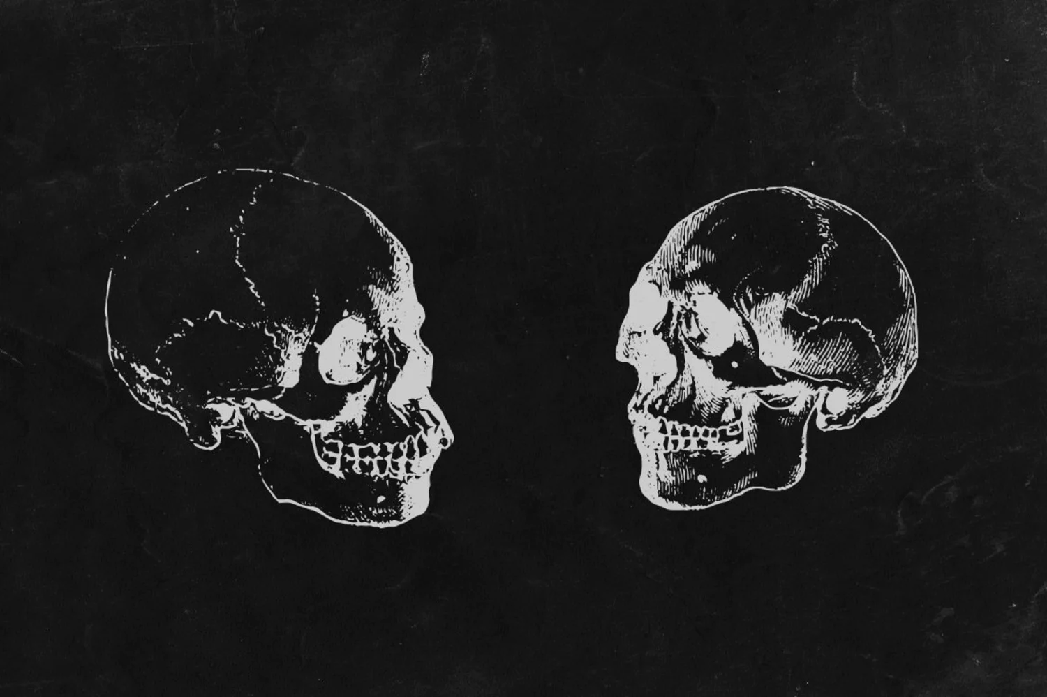 1677 16款手绘骷髅头EPS矢量源文件 Engraved Skulls Illustrations