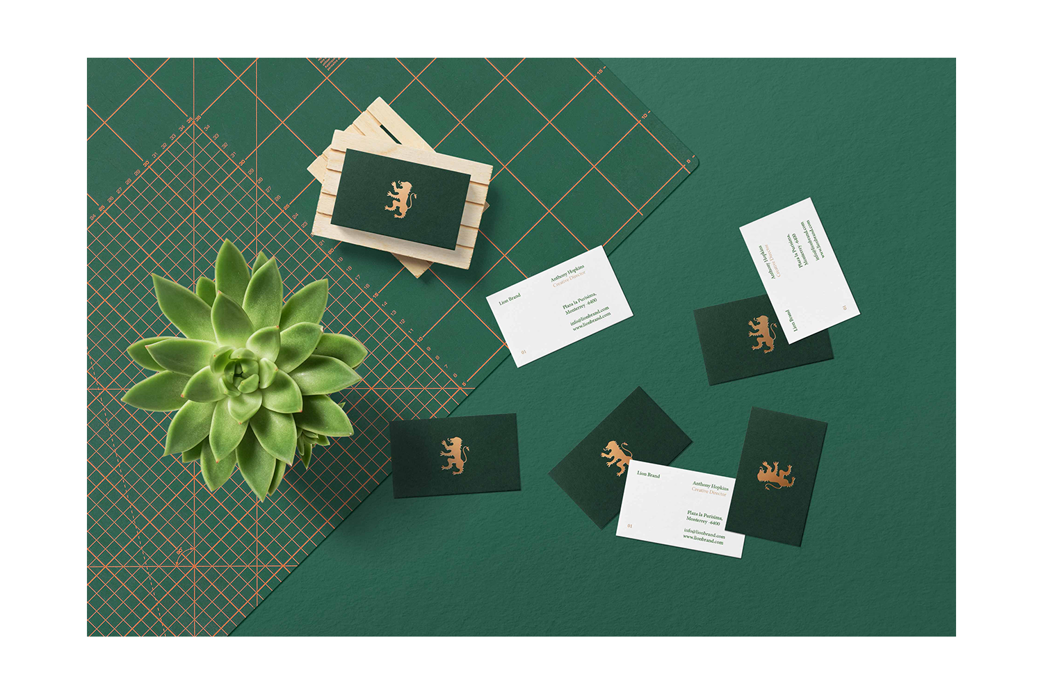 1917 绿植花店花卉多肉品牌VI设计样机套装 Floral PSD Mockups & Stationery Pack