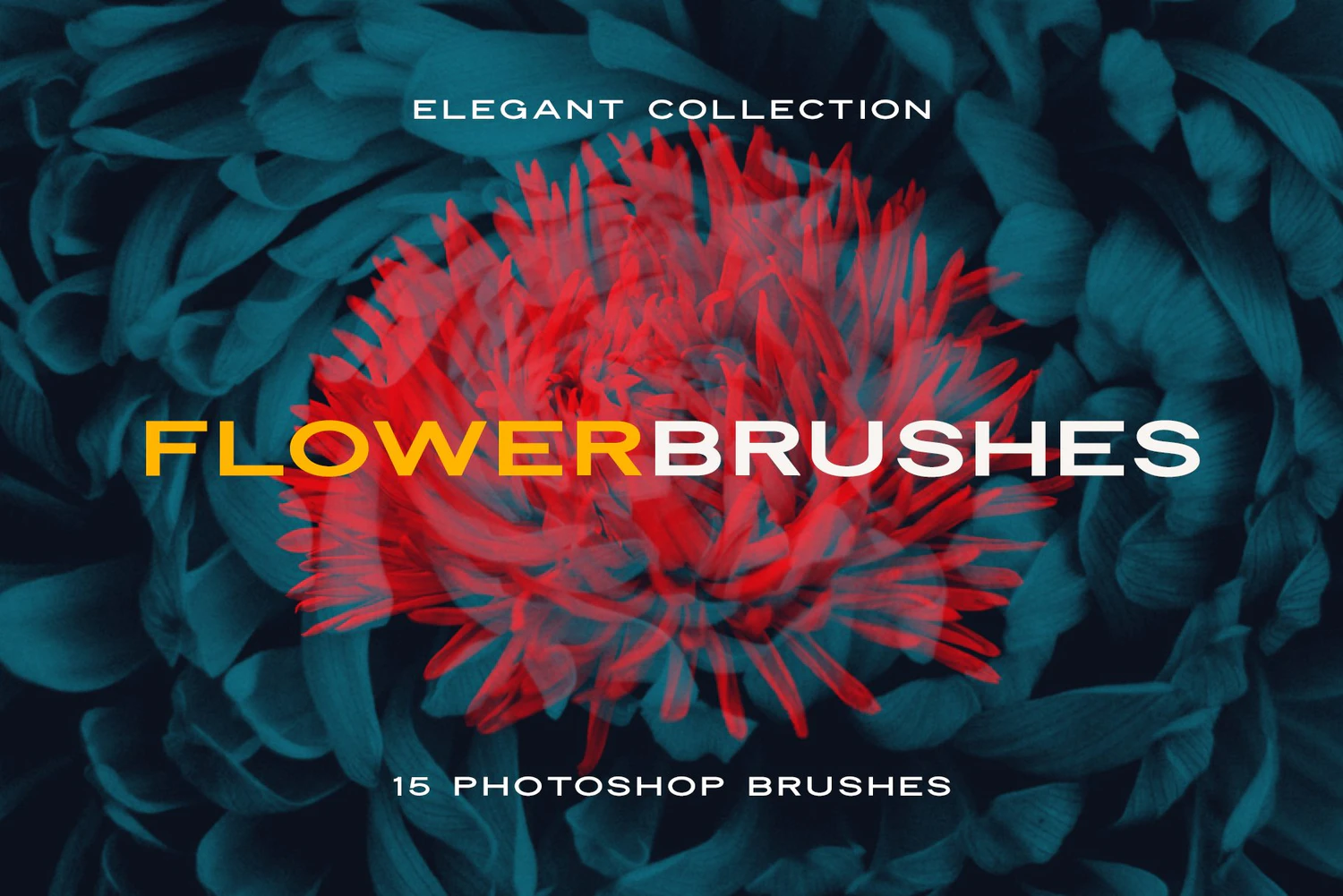 1964 15款逼真植物花卉花朵PS笔刷 FLOWER PHOTOSHOP BRUSHES