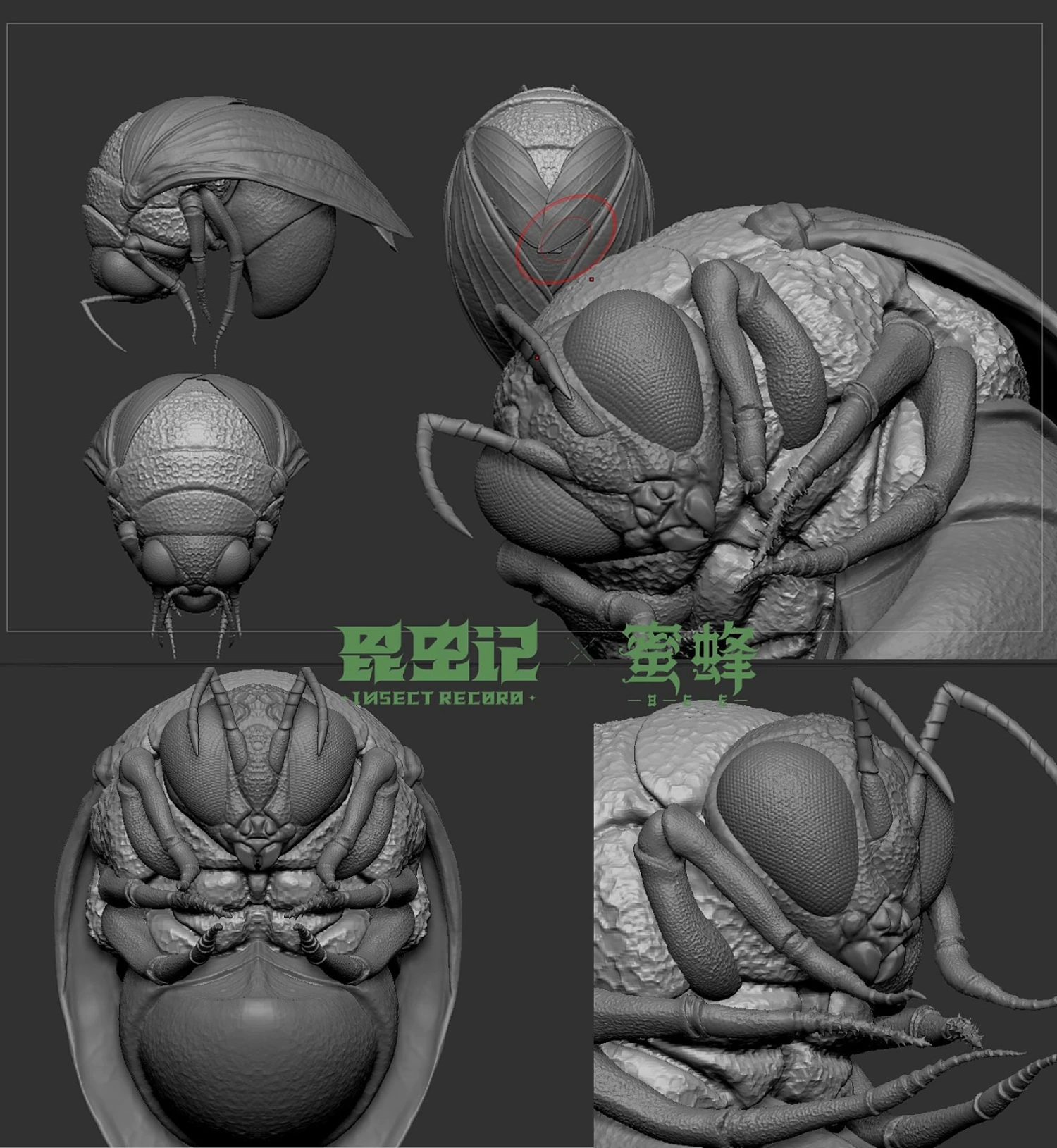 2148 可商用绿头苍蝇白无常C4D模型OC材质工程文件