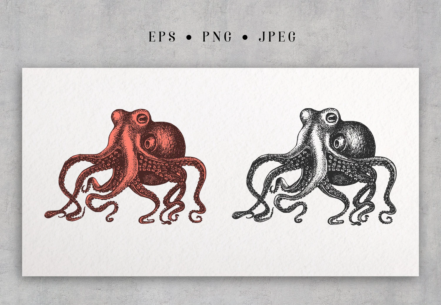 2212 可商用复古手绘海底生物章鱼EPS矢量插图装饰画 Octopus Vintage Collection