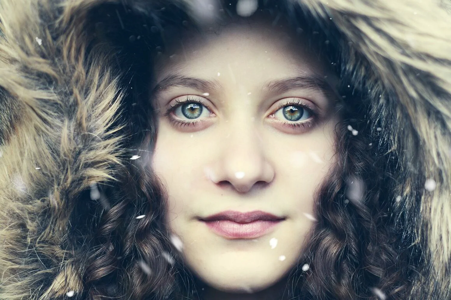 2214 50款雪花下雪特效照片叠加素材笔刷 Snow & Dust Effect Photoshop