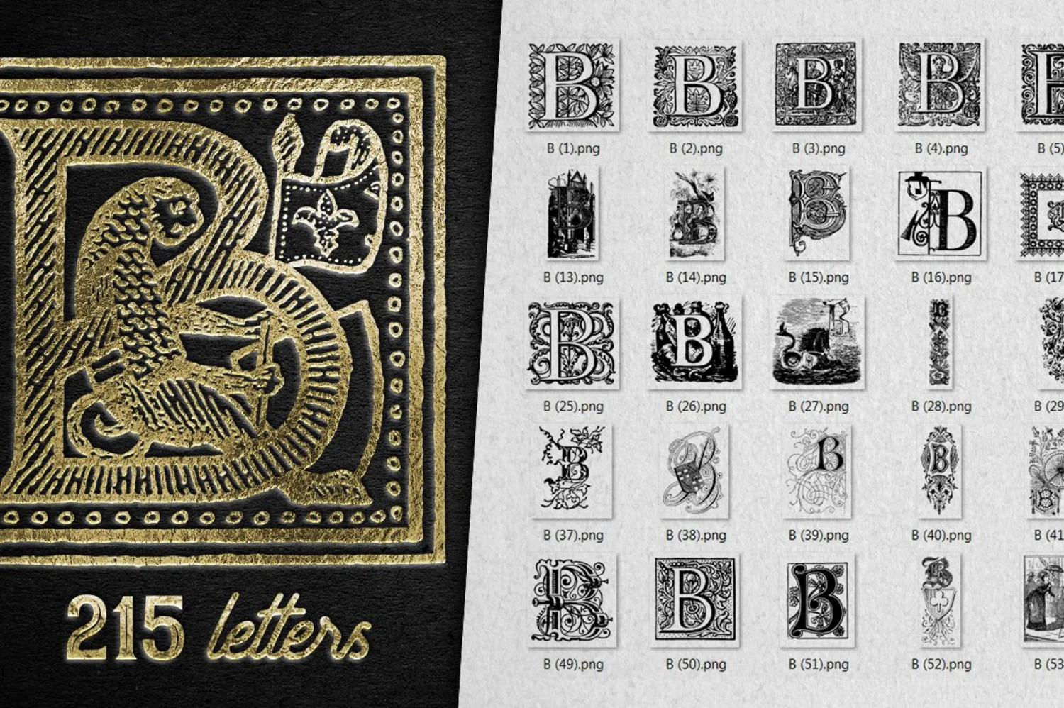 2222 2800+欧式复古装饰字母矢量图纹素材设计大包 VINTAGE LETTERS COLLECTION