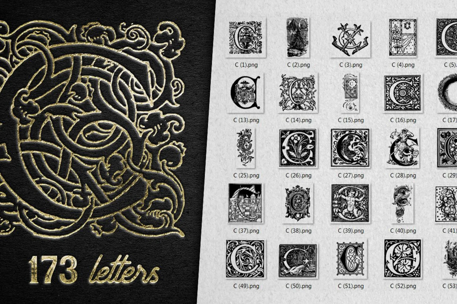 2222 2800+欧式复古装饰字母矢量图纹素材设计大包 VINTAGE LETTERS COLLECTION