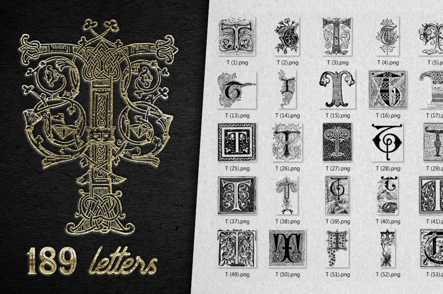 2222 2800+欧式复古装饰字母矢量图纹素材设计大包 VINTAGE LETTERS COLLECTION