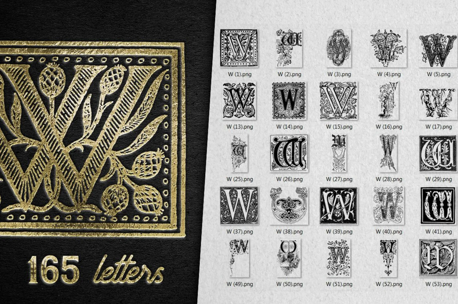 2222 2800+欧式复古装饰字母矢量图纹素材设计大包 VINTAGE LETTERS COLLECTION