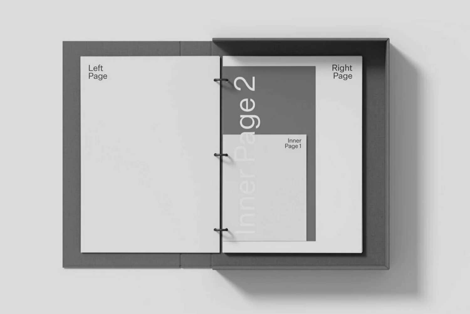 2234 高级纸盒文件夹品牌办公文具PS样机 Binder-02-Standard-Mockup-FONToMASS