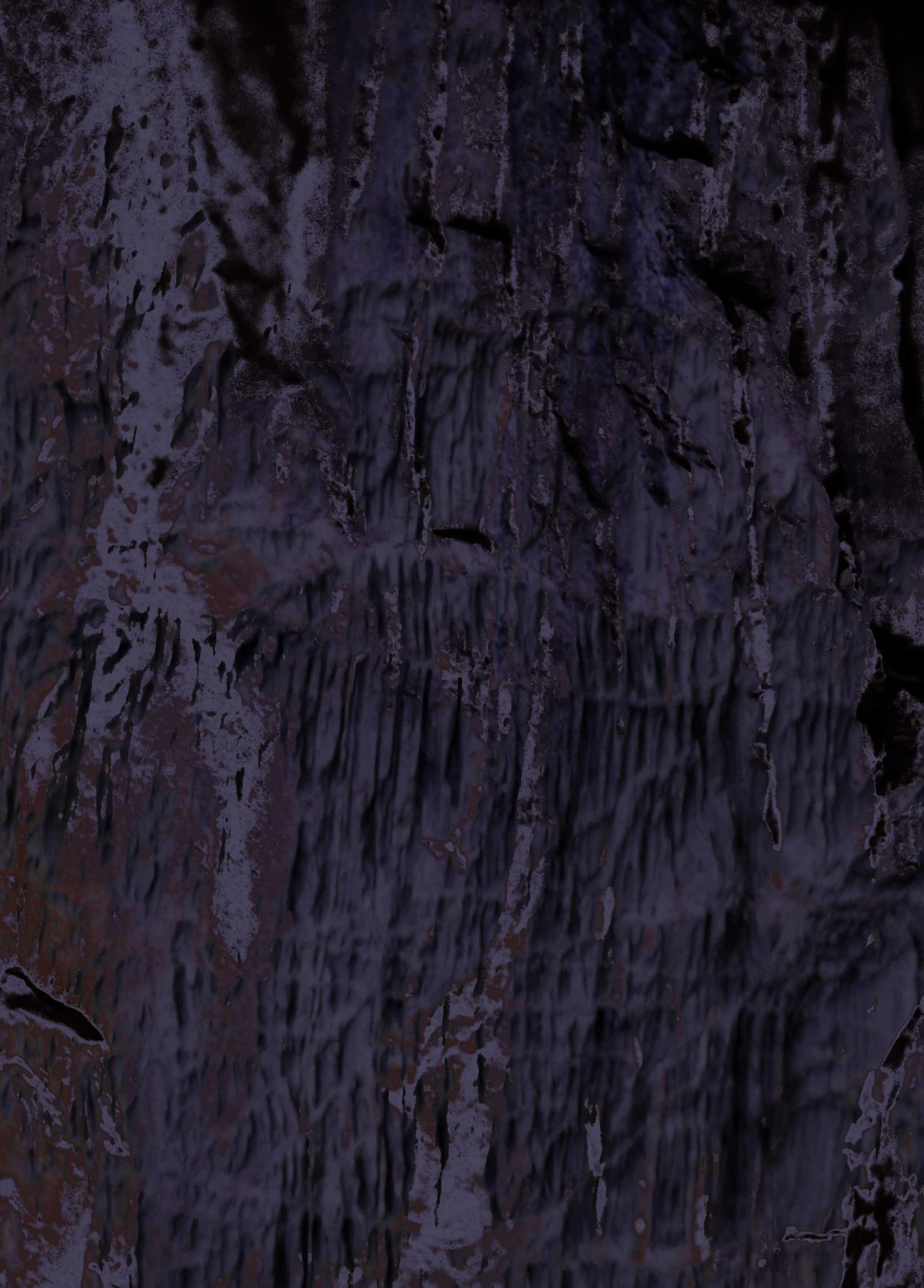 2311 81款肌理背景叠加元素高清图片素材 Everflight EF12 Fantasy Background