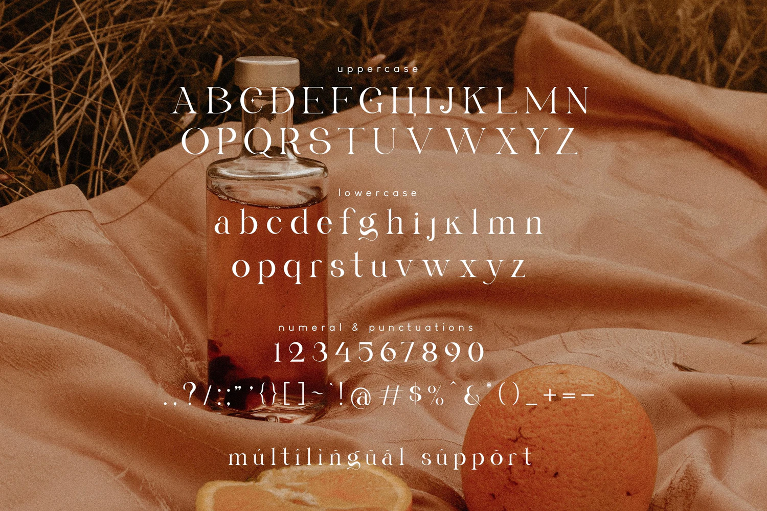 2373 Gyahegi 现代优雅英文连字衬线字体 Gyahegi Modern Serif Font