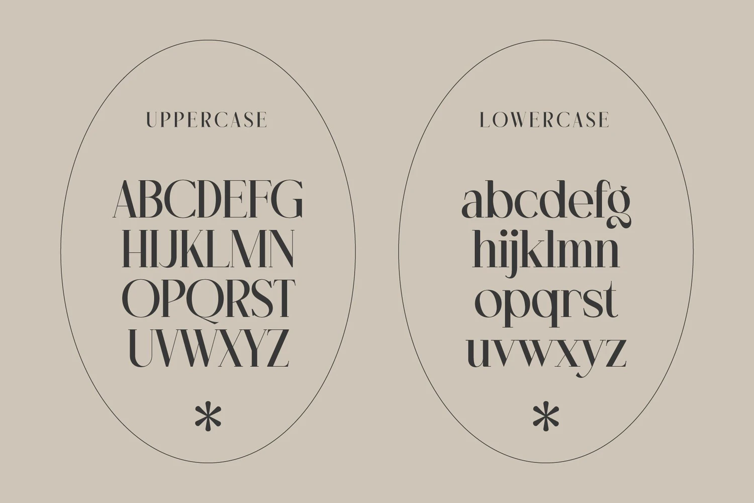 2386 Niguella现代优雅艺术英文衬线字体 Niguella – Modern Serif Font