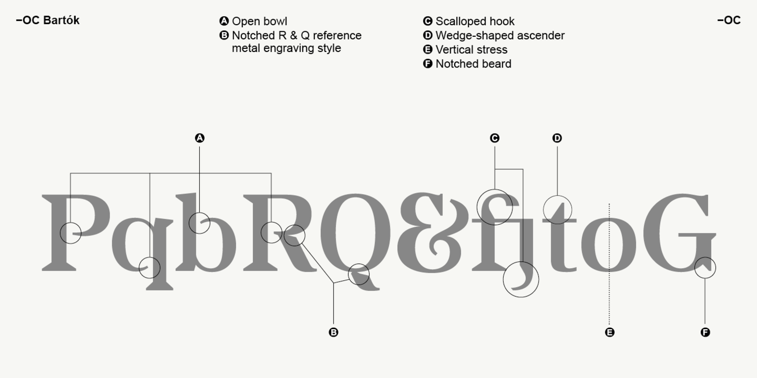 2396 复古优雅英文衬线海报设计字体 OC Bartok