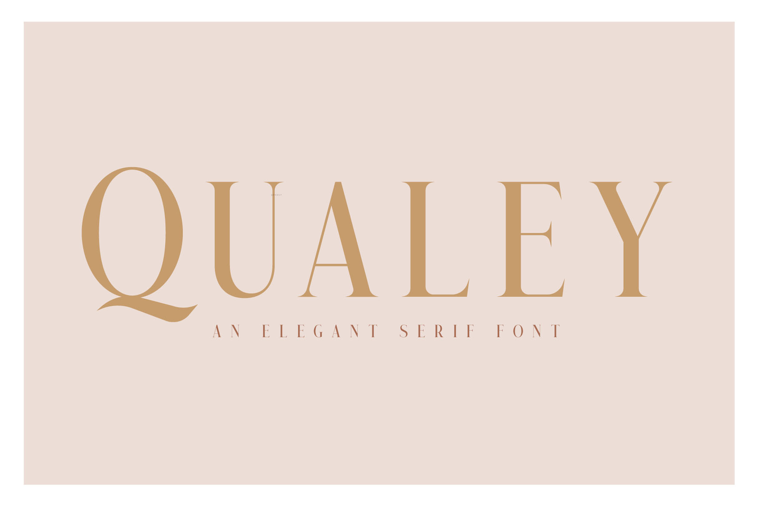 2397 现代商务极简奢侈品英文衬线字体 Qualey (c) Craft Supply Co