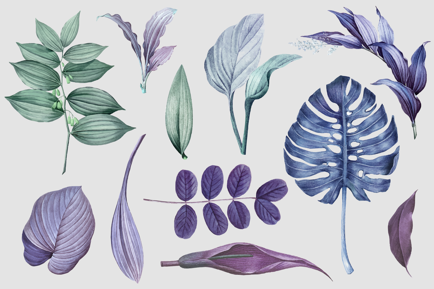 2449 可商用矢量手绘植物插画水彩小清新设计素材源文件