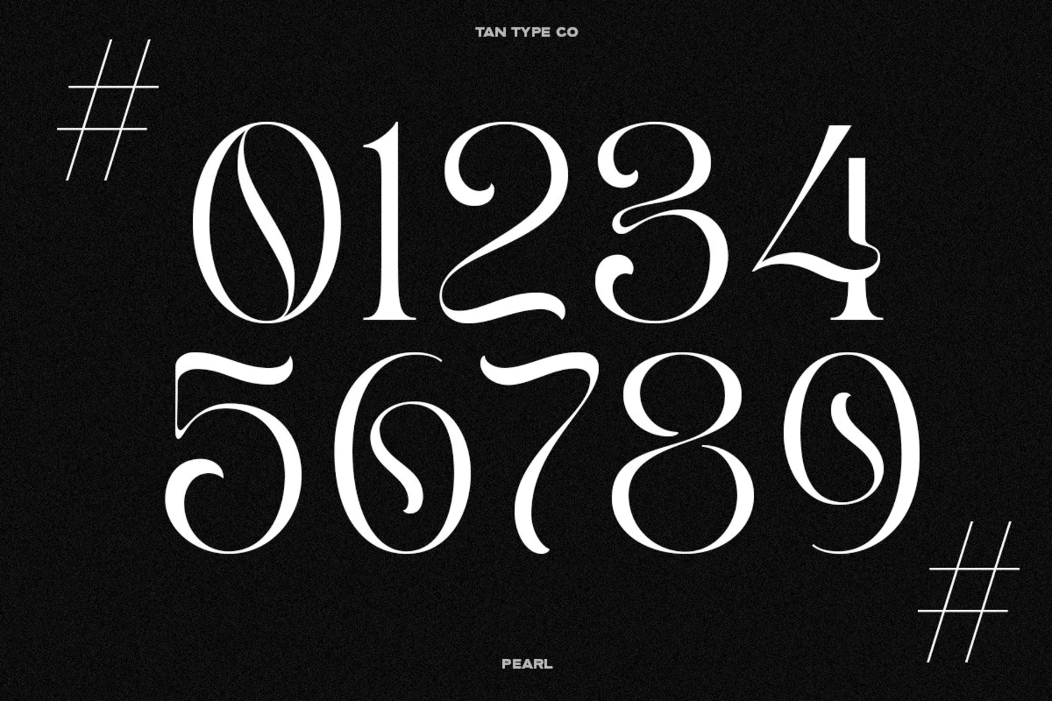 2587 俏皮优雅英文酸性艺术衬线字体 TAN – PEARL