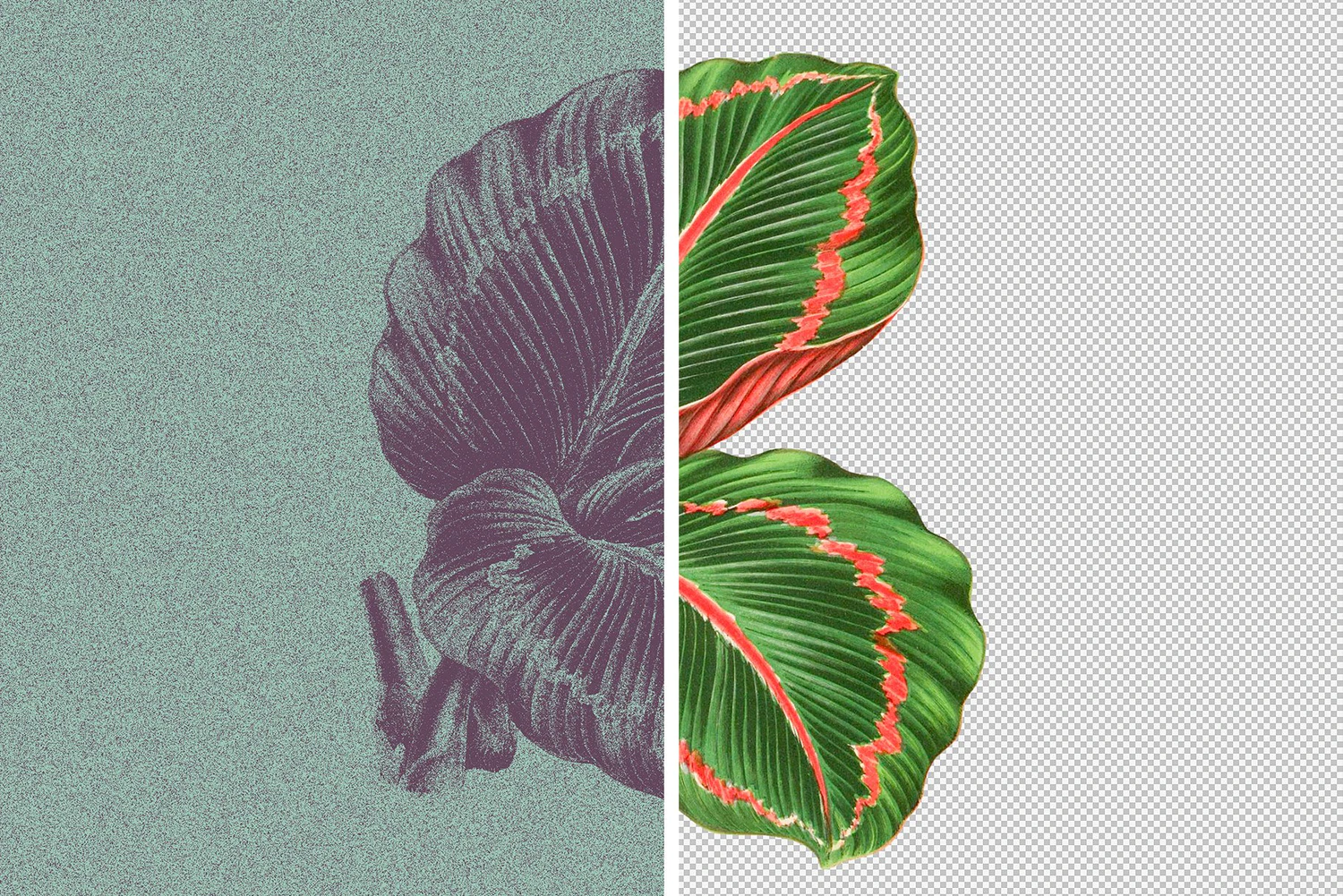 2789 经典复古做旧粗糙噪点肌理图片处理滤镜PS样式模板 Risograph Grain Effect For Photoshop-GOOODME果觅网