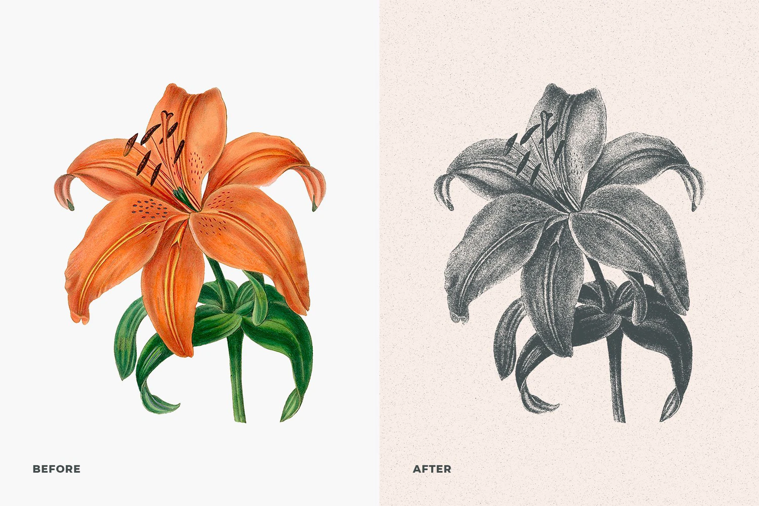 2789 经典复古做旧粗糙噪点肌理图片处理滤镜PS样式模板 Risograph Grain Effect For Photoshop-GOOODME果觅网