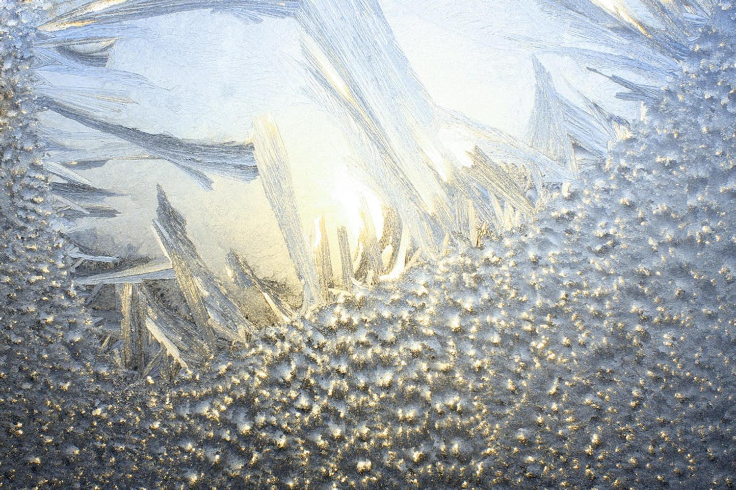 3045 15款冬季冰霜高清背景素材 Art of Frost – Winter Ice Backgrounds