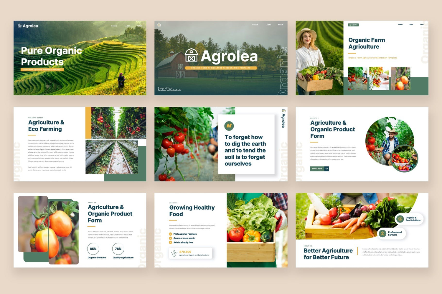 3151 农业生鲜主题多用途项目报告计划书总结演讲Keynote模板 AGROLEA – Agriculture Keynote Template