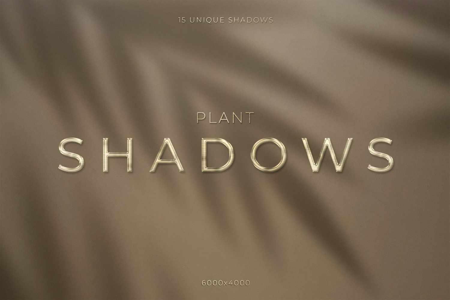 3218 16款植物阴影图片叠加背景素材 Plant Shadows Pack
