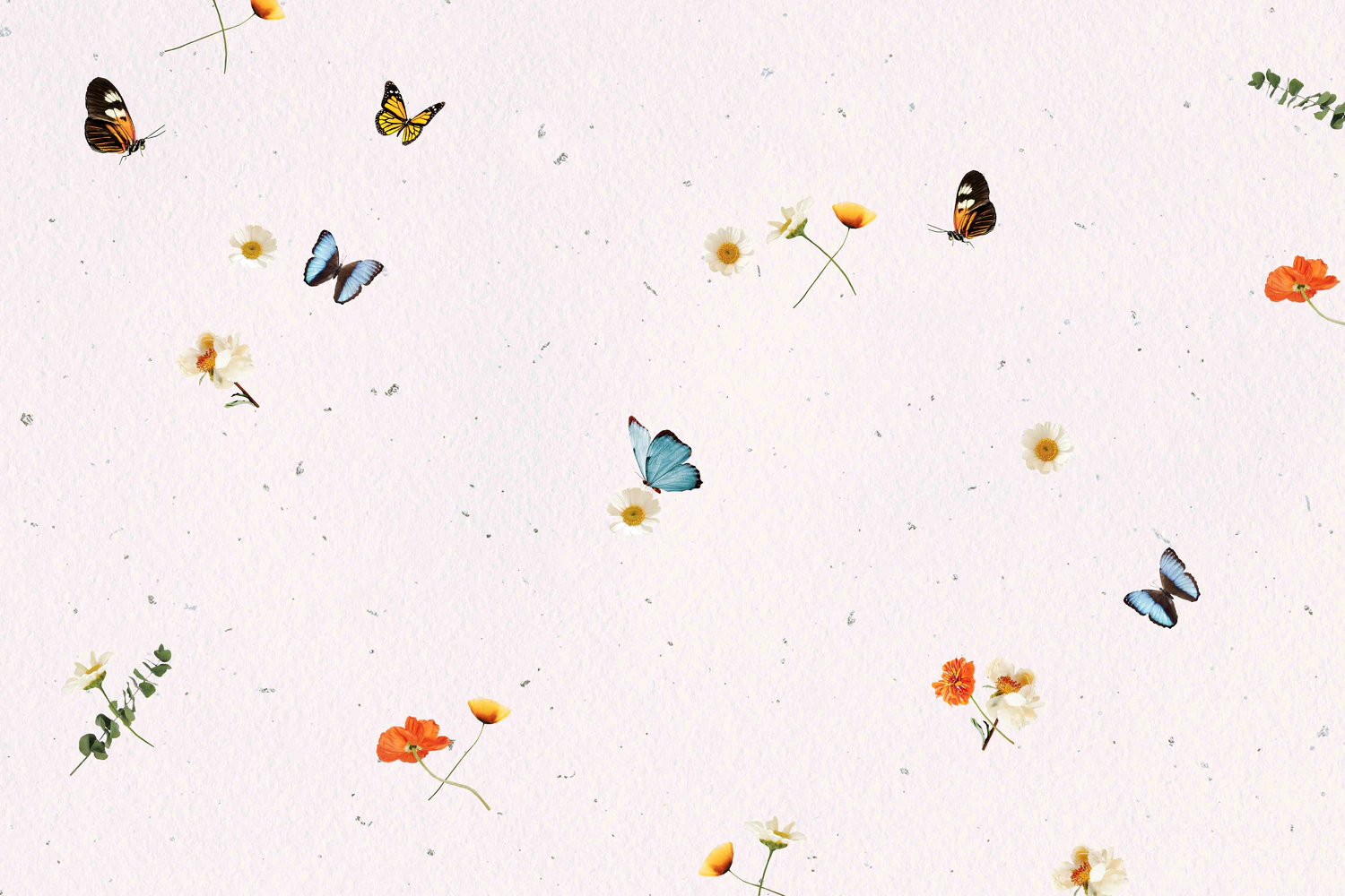 3229 25个蝴蝶拼贴纸纹理图案JPG素材 25 Butterfly Textures