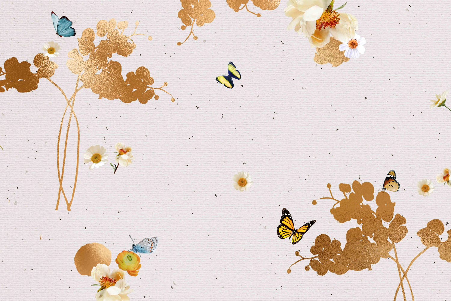 3229 25个蝴蝶拼贴纸纹理图案JPG素材 25 Butterfly Textures