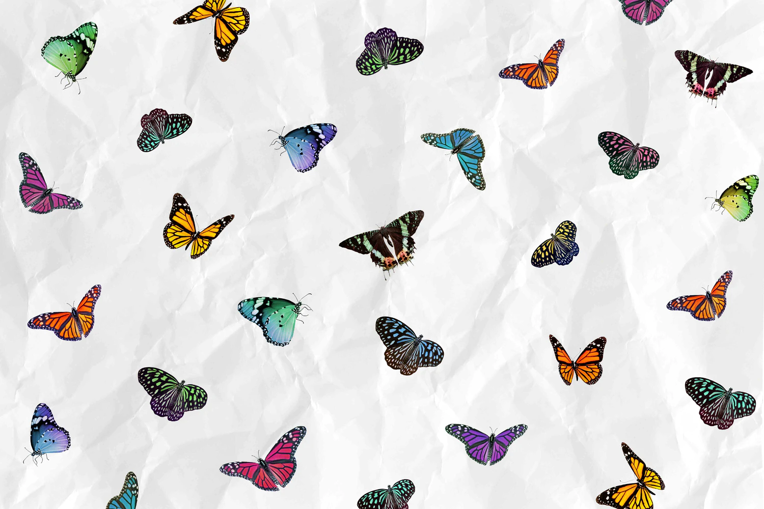 3229 25个蝴蝶拼贴纸纹理图案JPG素材 25 Butterfly Textures