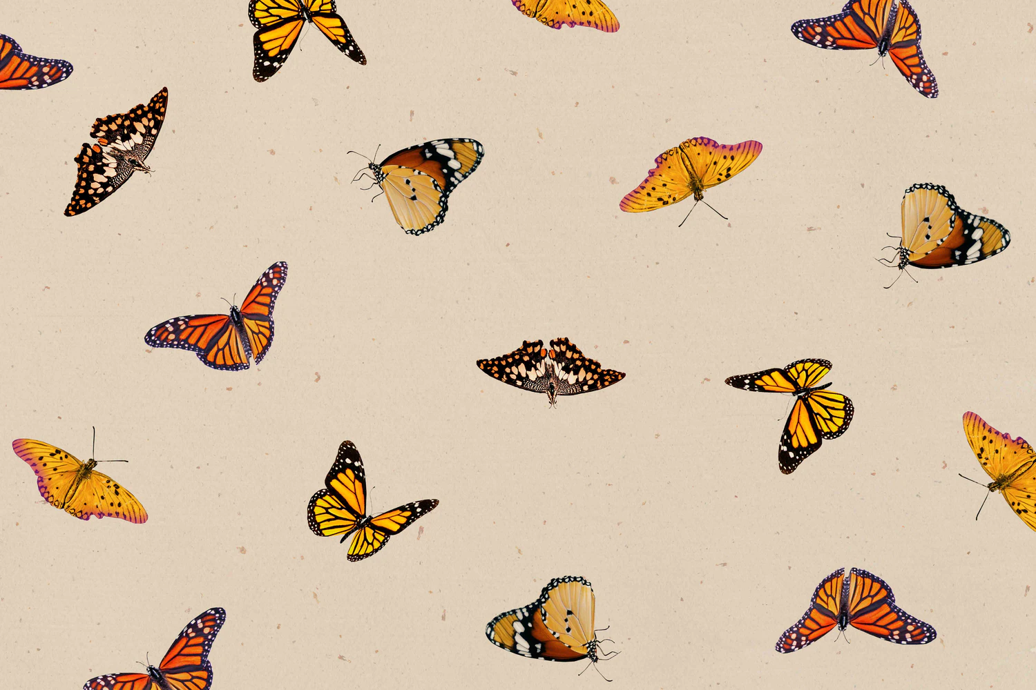 3229 25个蝴蝶拼贴纸纹理图案JPG素材 25 Butterfly Textures