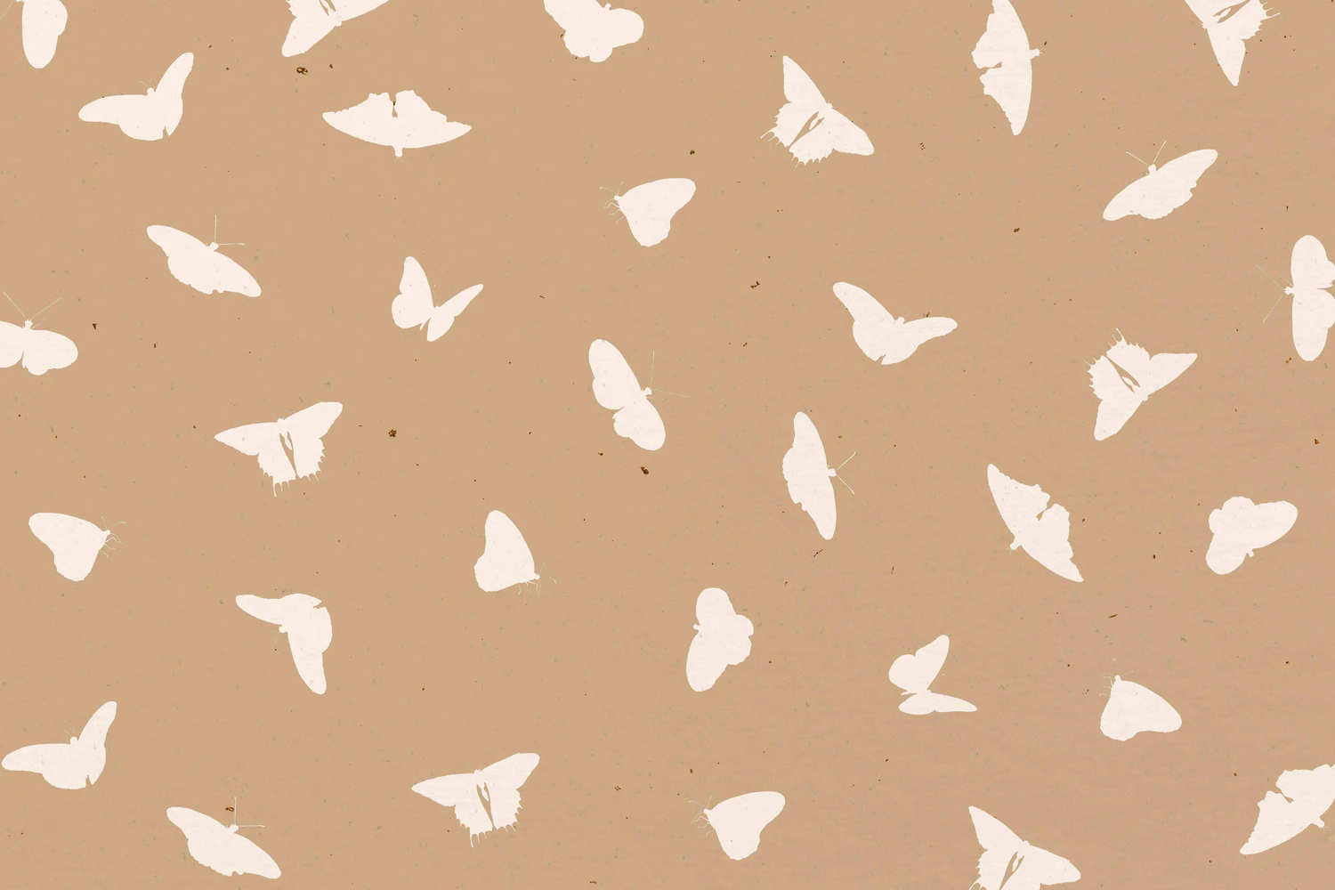 3229 25个蝴蝶拼贴纸纹理图案JPG素材 25 Butterfly Textures
