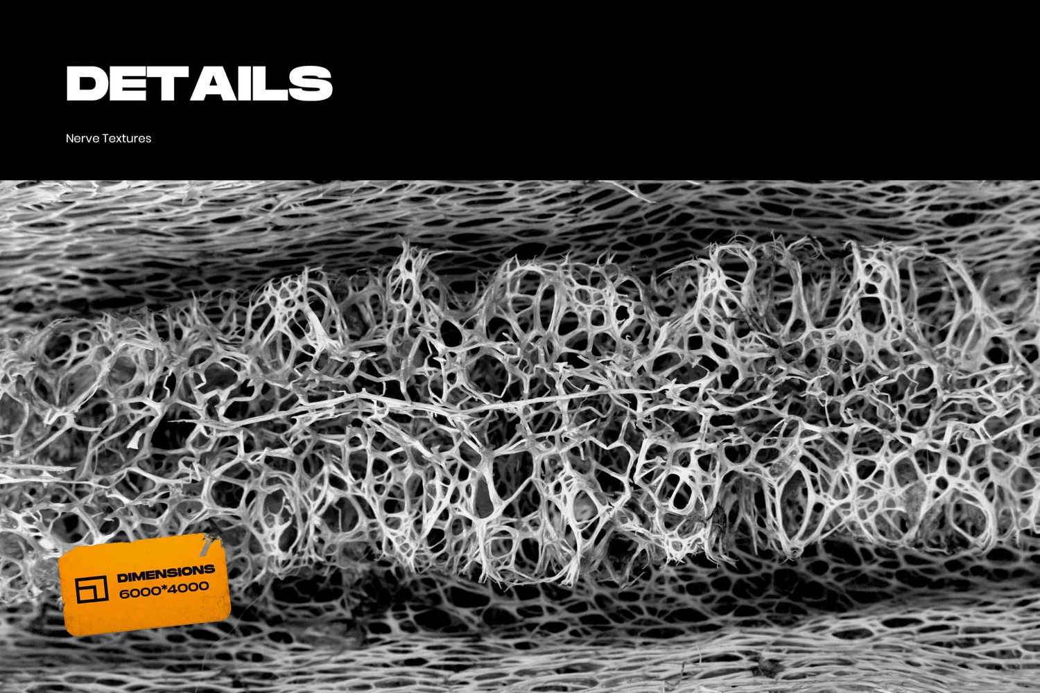 3230 25款高清抽象立体网格3D打印纤维背景图片纹理平面设计jpg源文件 Nerve Textures