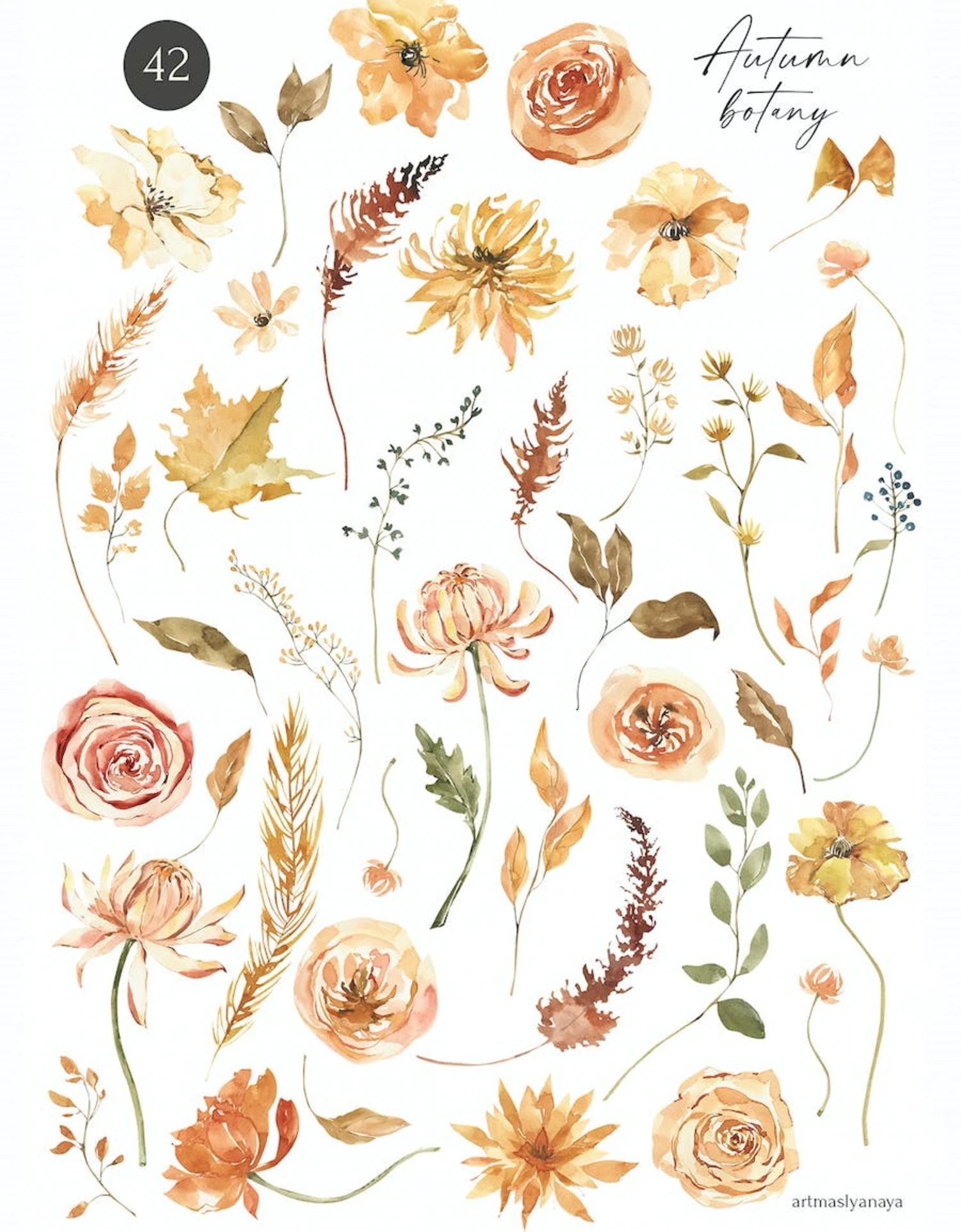 3239 42款水彩手绘花卉PNG免抠素材 Watercolor Autumn flower botanics clipart