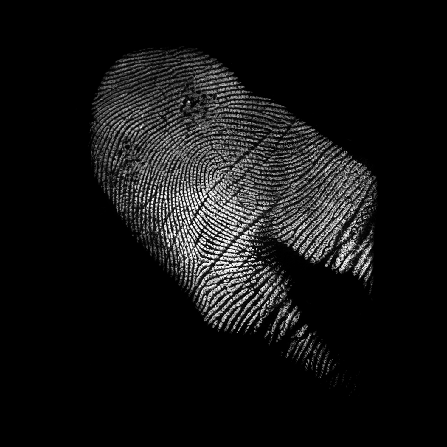 3241 52款指纹纹理元素PS笔刷素材包 Fingerprints