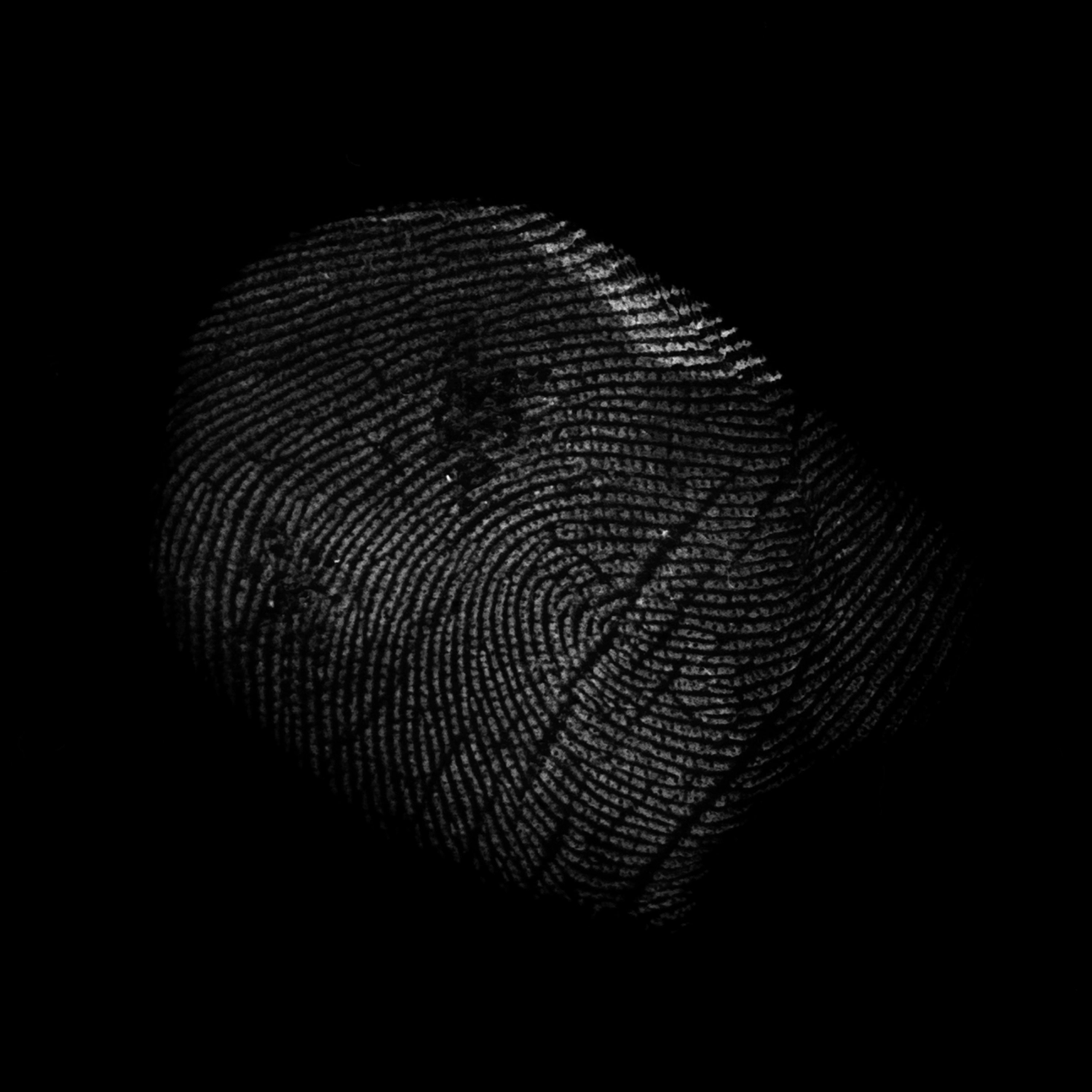 3241 52款指纹纹理元素PS笔刷素材包 Fingerprints