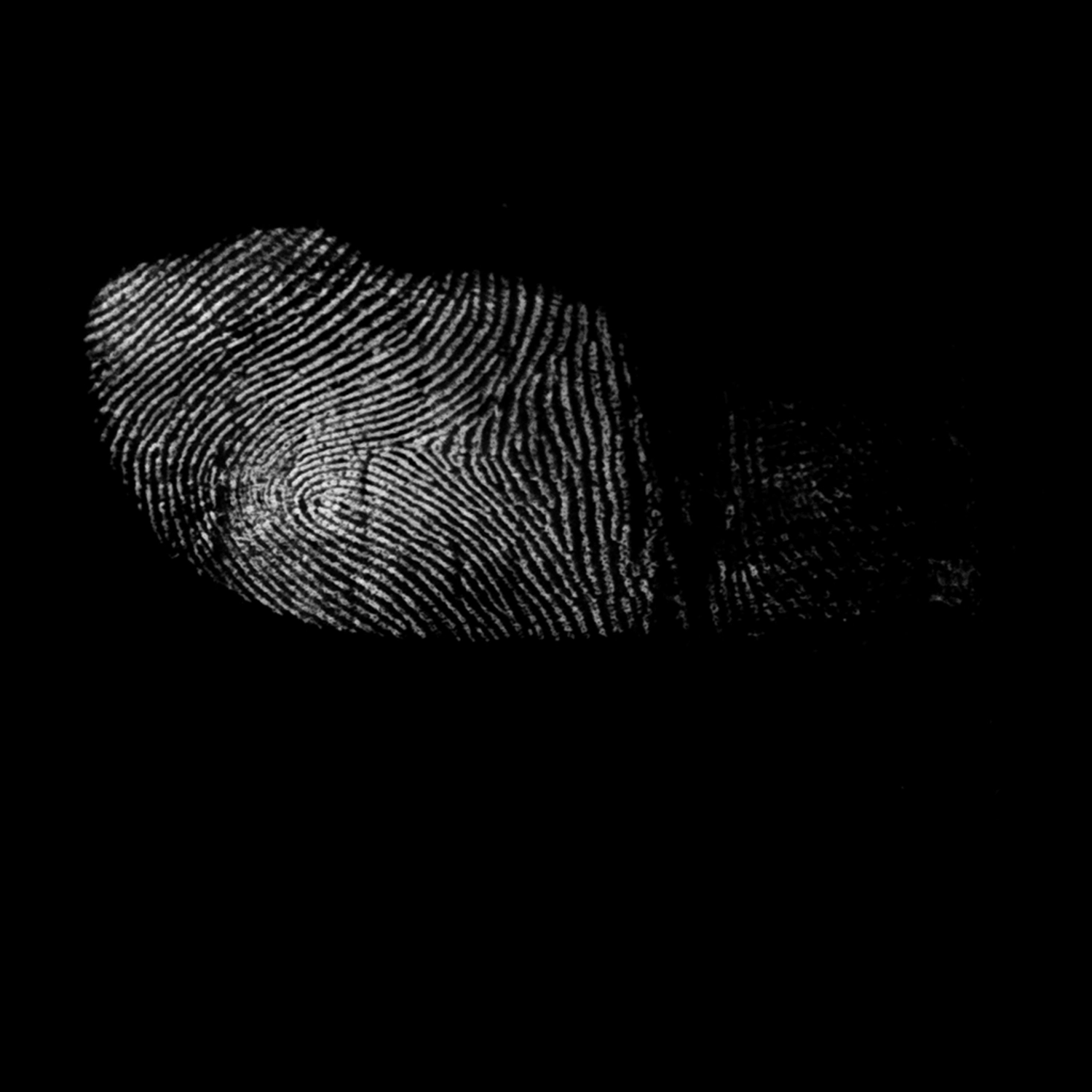 3241 52款指纹纹理元素PS笔刷素材包 Fingerprints