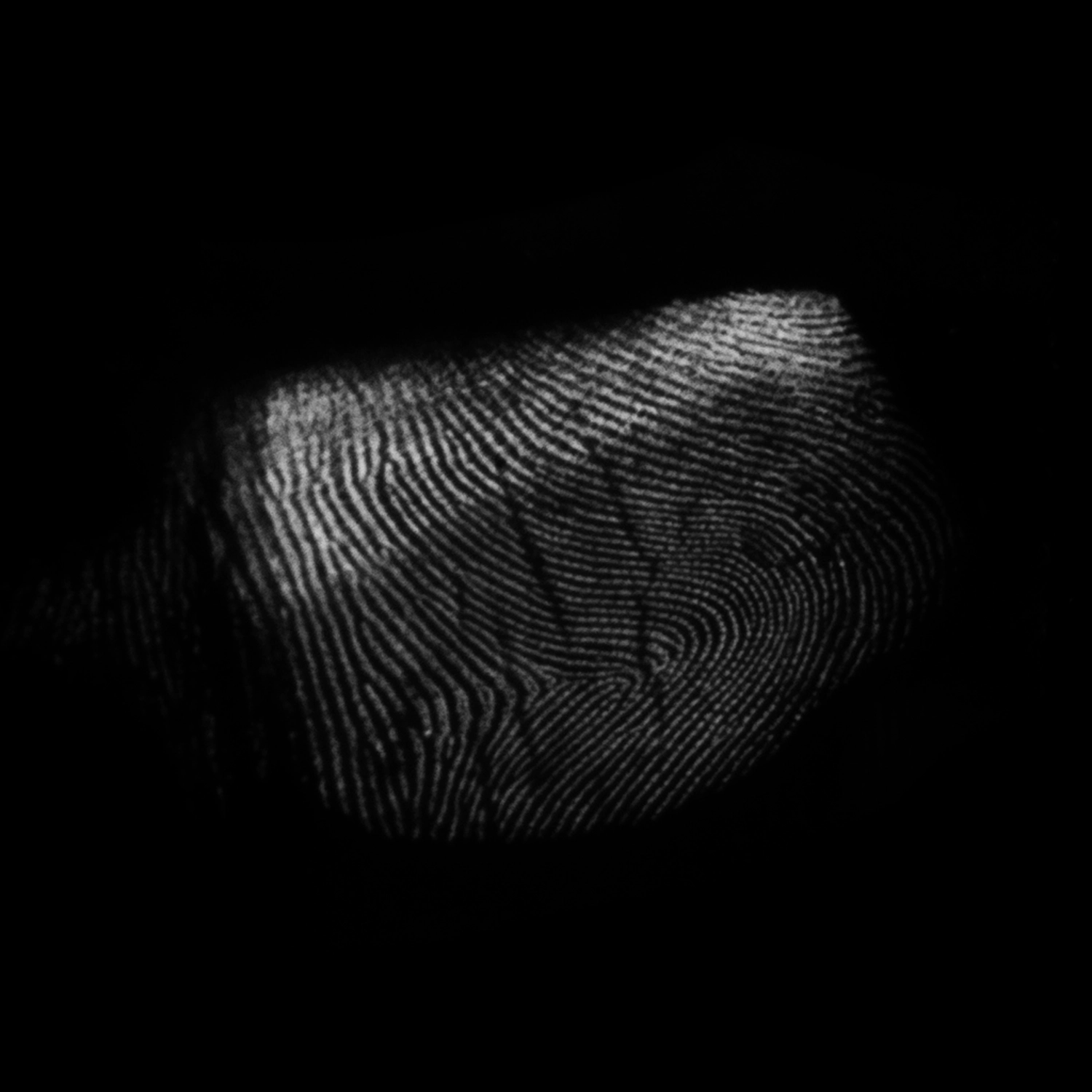 3241 52款指纹纹理元素PS笔刷素材包 Fingerprints