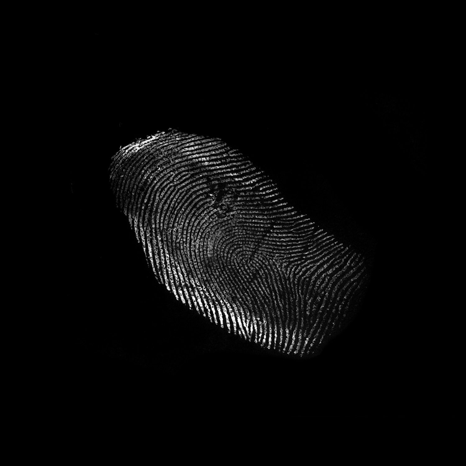 3241 52款指纹纹理元素PS笔刷素材包 Fingerprints