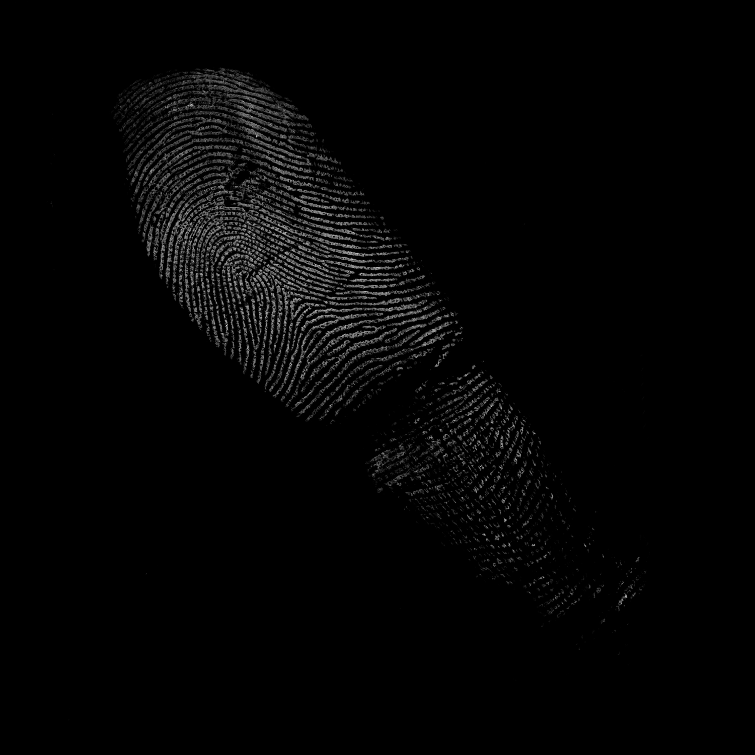 3241 52款指纹纹理元素PS笔刷素材包 Fingerprints