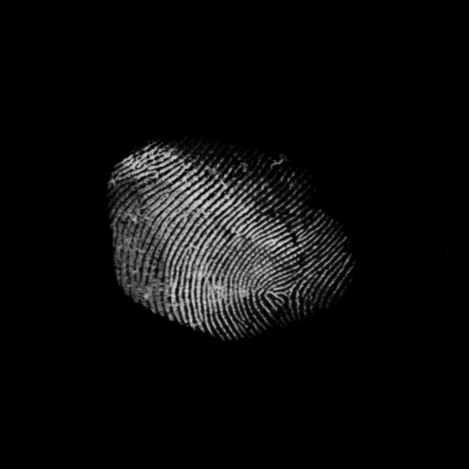 3241 52款指纹纹理元素PS笔刷素材包 Fingerprints