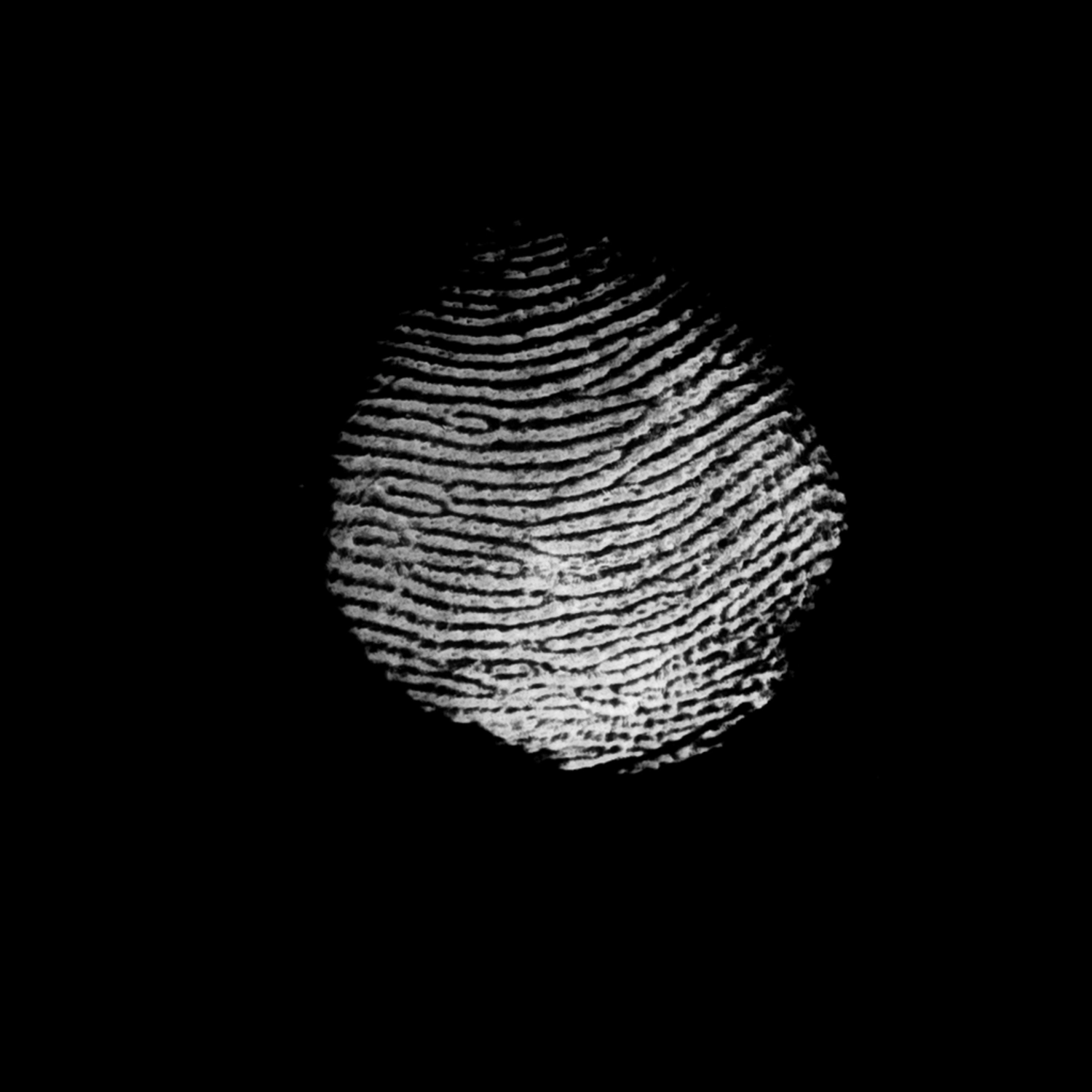 3241 52款指纹纹理元素PS笔刷素材包 Fingerprints