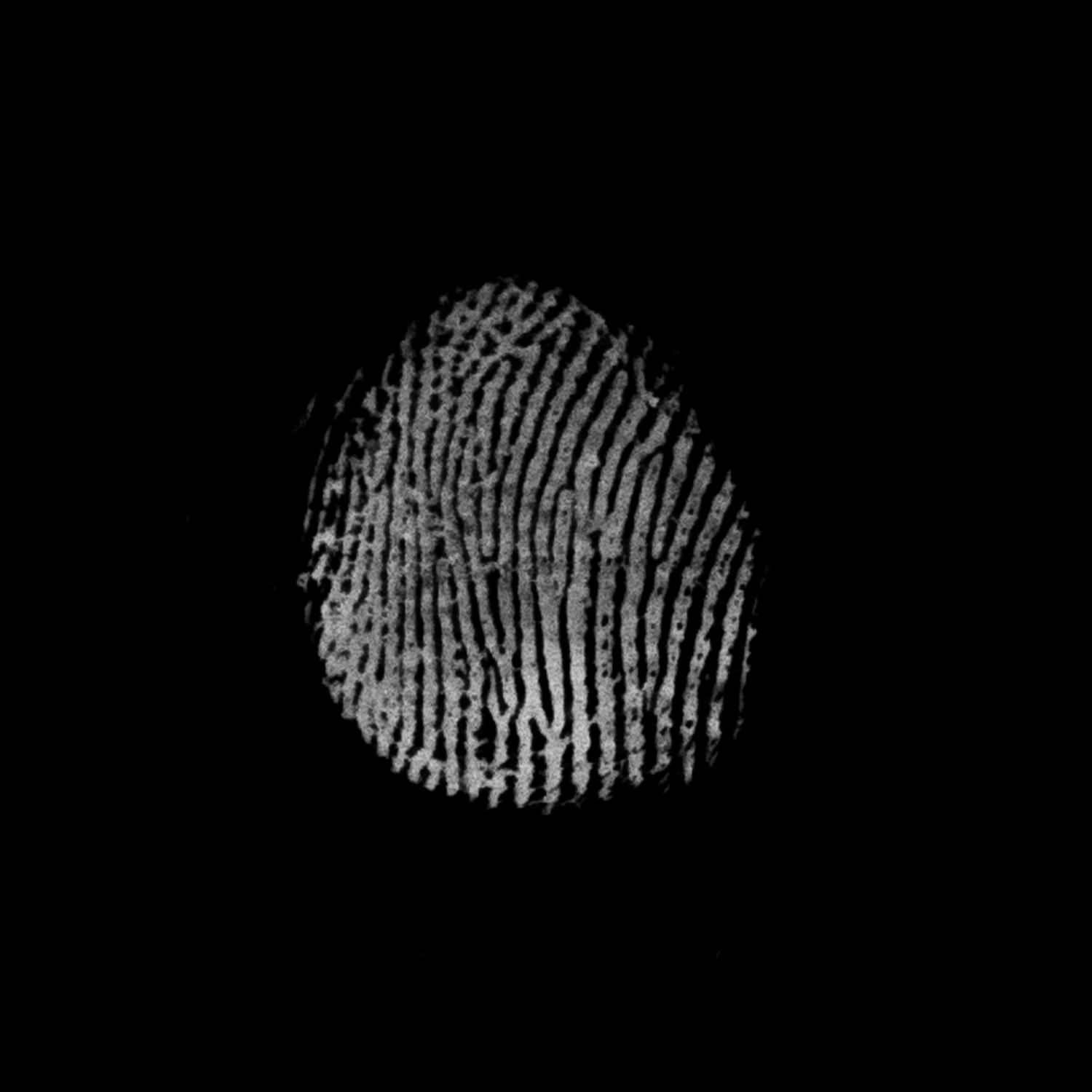 3241 52款指纹纹理元素PS笔刷素材包 Fingerprints