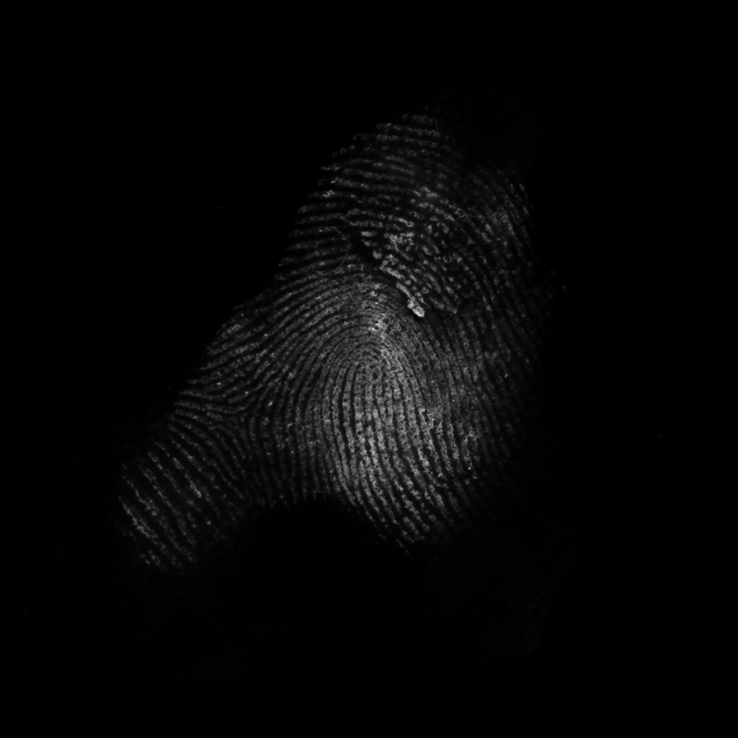 3241 52款指纹纹理元素PS笔刷素材包 Fingerprints