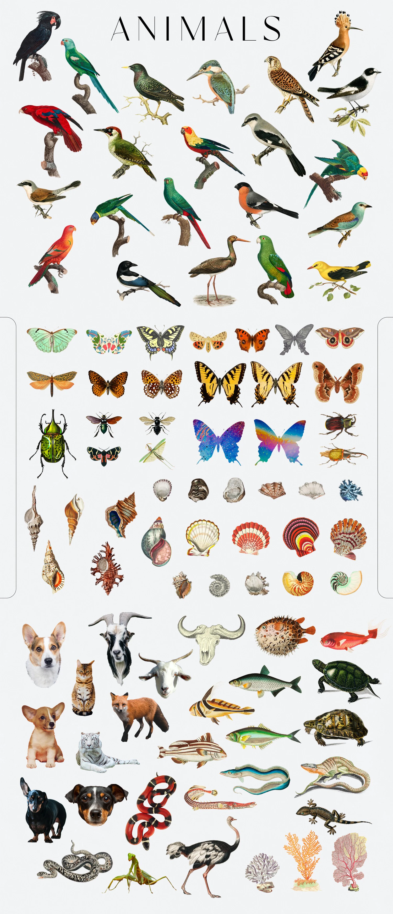 3255 400款潮流复古超现实主义人物动物艺术拼贴画png免抠图片设计素材 Sweven Collage Creator