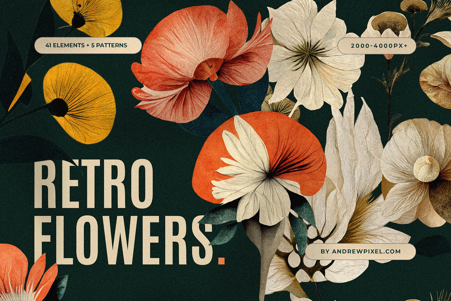 3362 时尚复古艺术手绘植物花卉插图插画装饰图案png免抠图片设计素材 Retro Flower Collection + Patterns