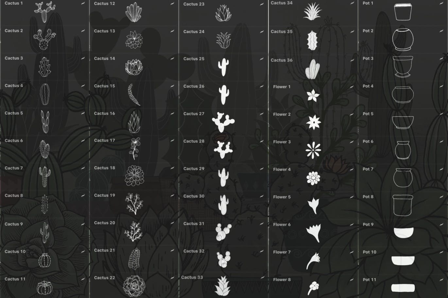 3486 80种仙人掌多肉植物和花盆Procreate软件笔刷 Cactus Succulents and Pots – Procreate Brushes