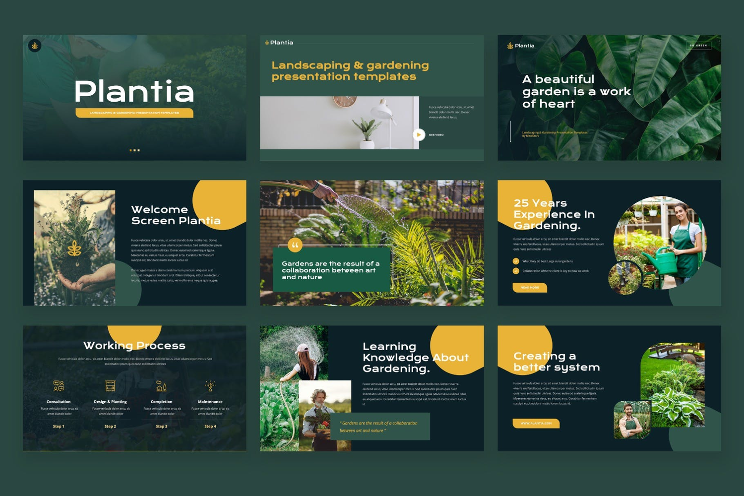 3689 农业园林园艺公司年终总结商业计划Keynote模板 Plantia – Landscaping & Gardening Keynote Template