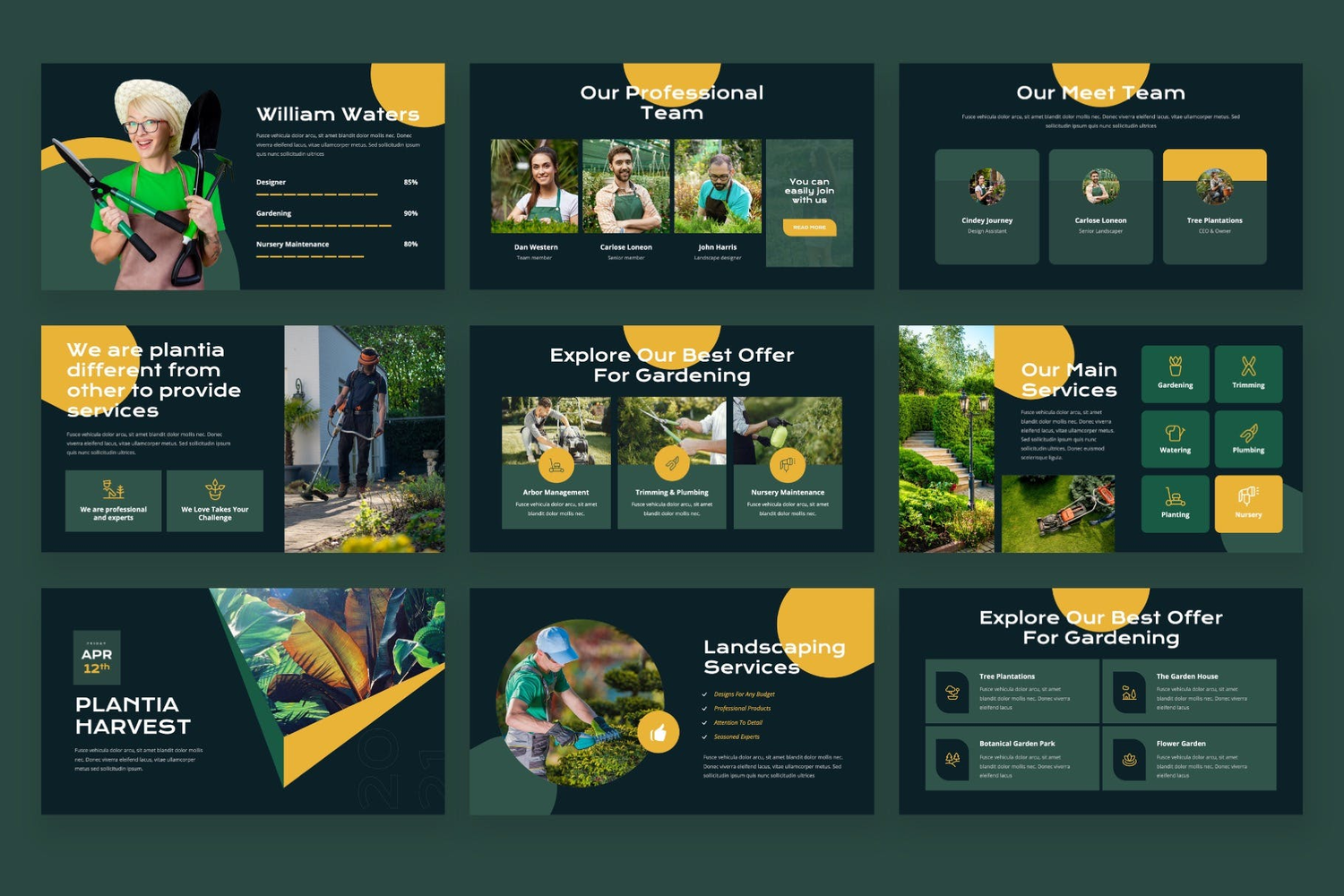 3689 农业园林园艺公司年终总结商业计划Keynote模板 Plantia – Landscaping & Gardening Keynote Template