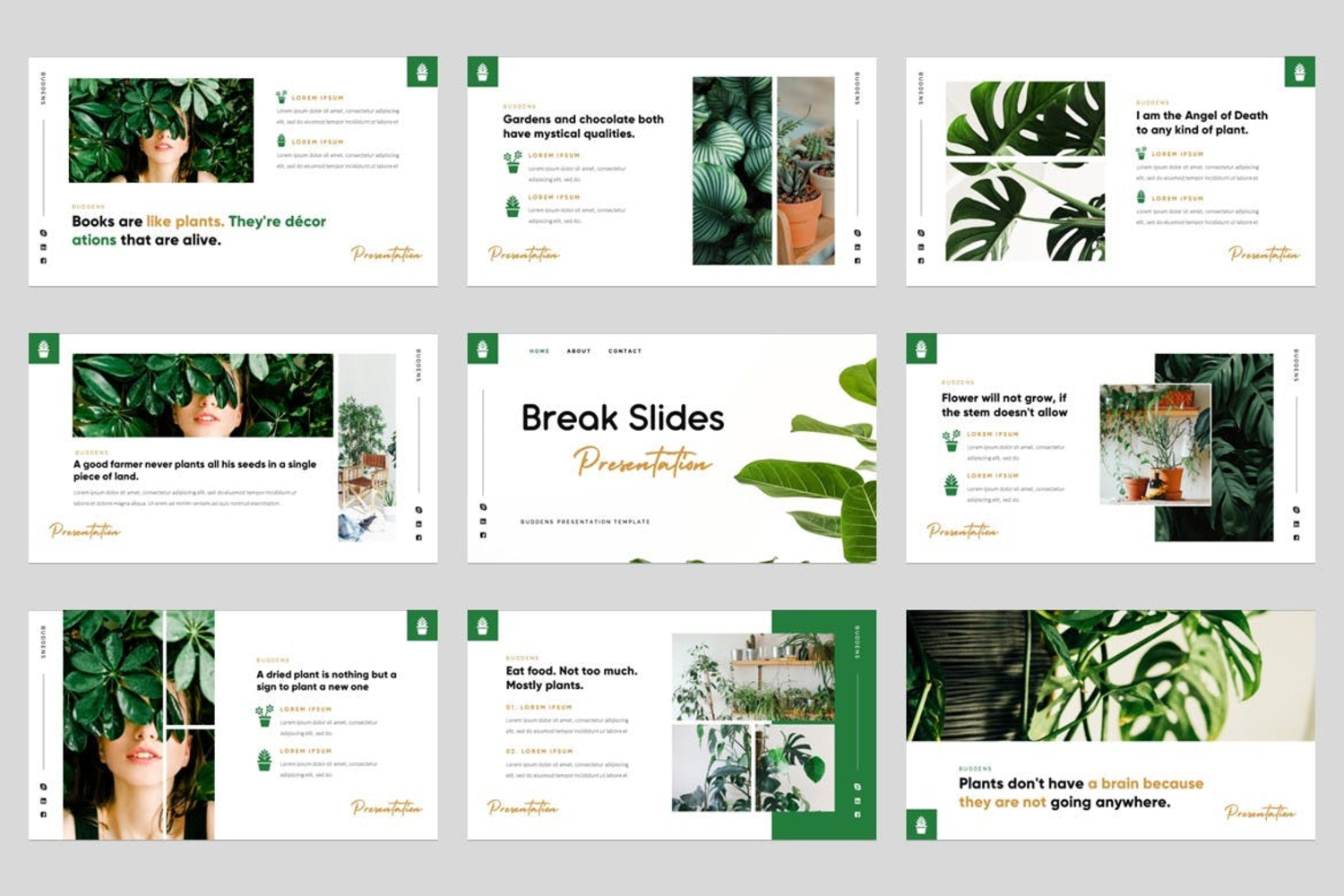 3808 现代极简主义热带绿植创意作品集PPT模板 Buddens – Minimalism Tropical Powerpoint Template